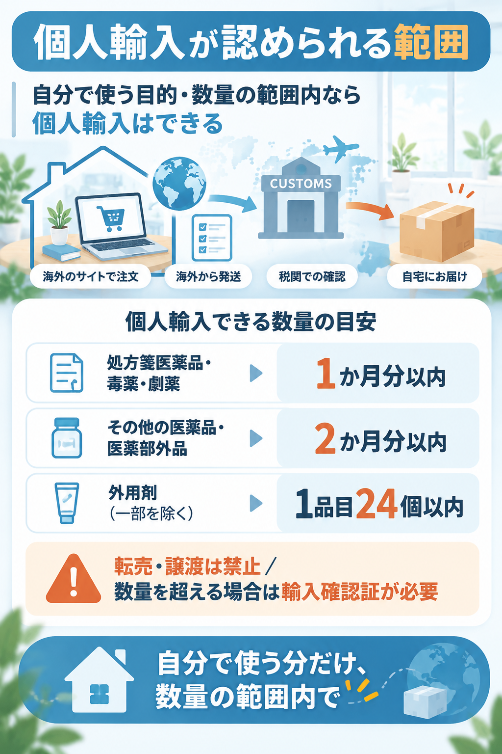 個人輸入で認められる数量の目安を示す図解